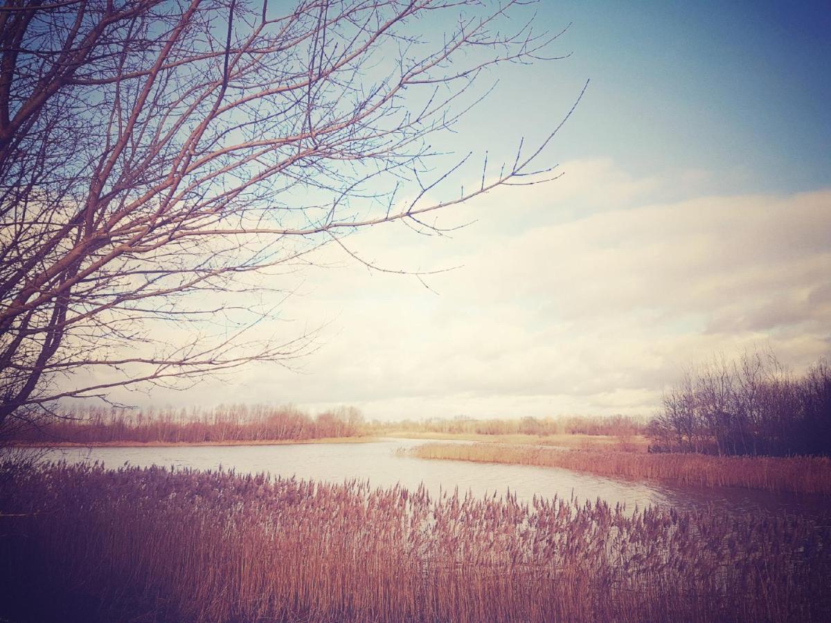 Thorn House B&B Fen Drayton Luaran gambar